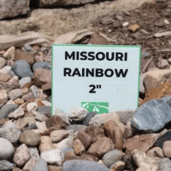 Missouri Rainbow