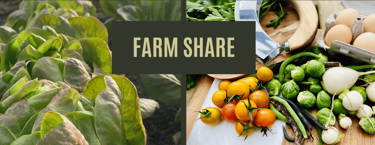 Farm Share (4)