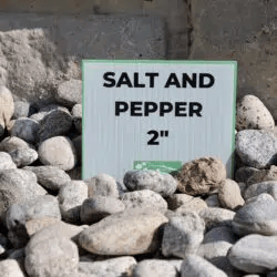 Salt and Pepper